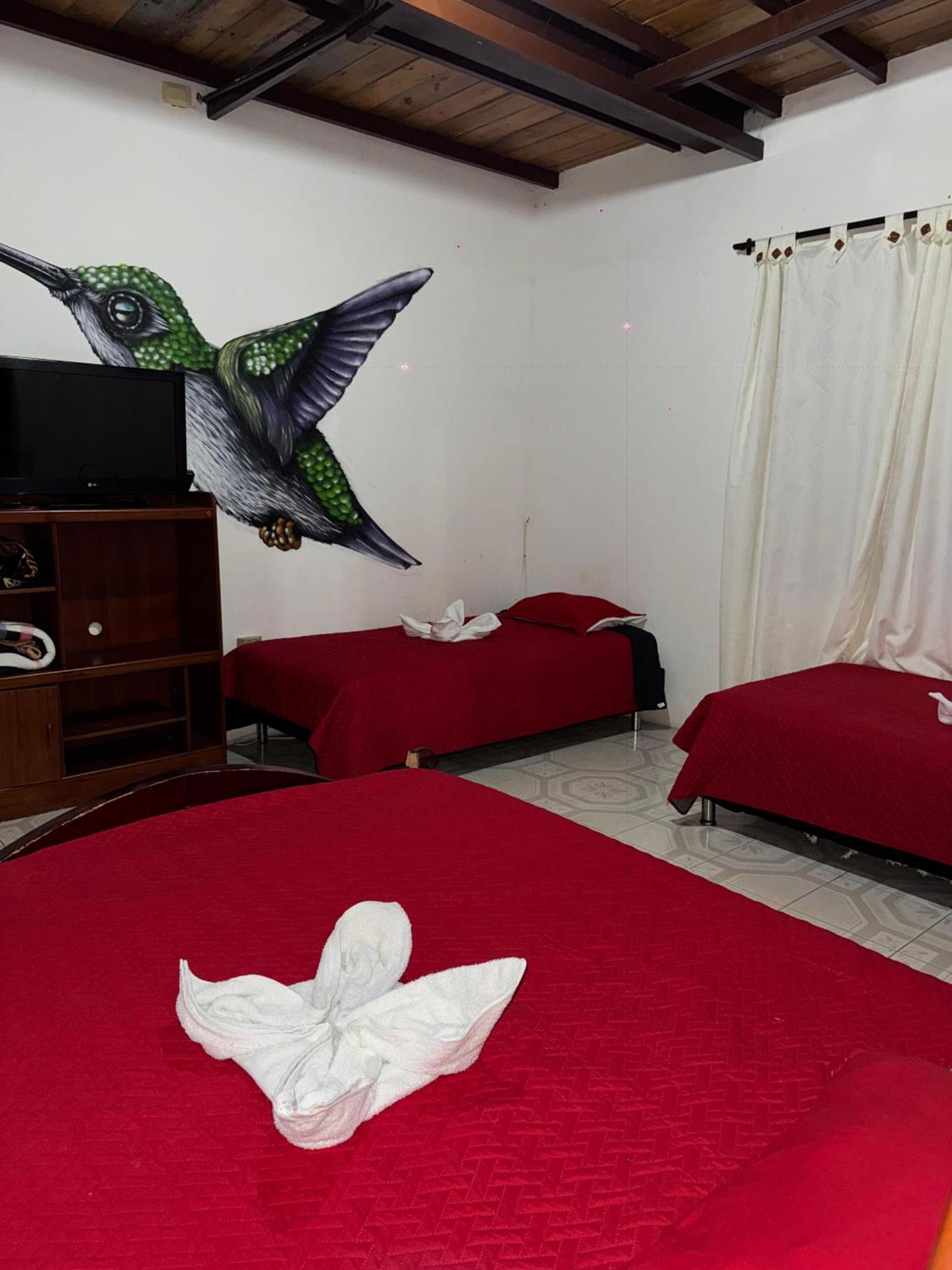 Ecohotel Colibri Salento Luna Park Екстер'єр фото